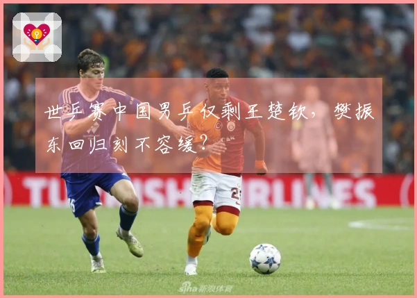 世乒赛中国男乒仅剩王楚钦，樊振东回归刻不容缓？
