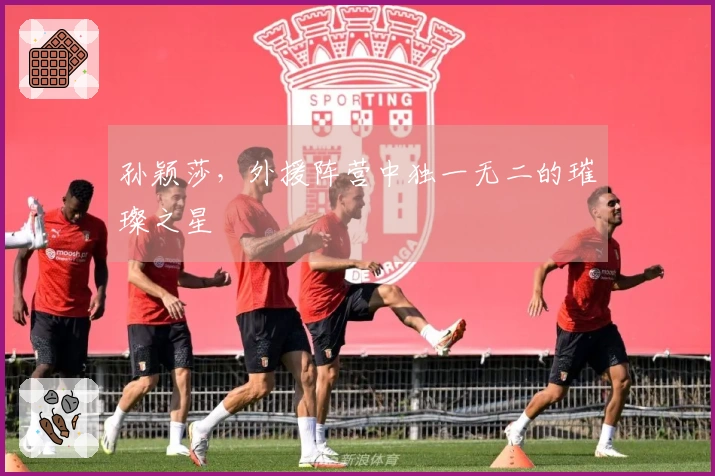 孙颖莎，外援阵营中独一无二的璀璨之星