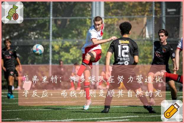 范弗里特：许多球队在努力营造化学反应，而我们则是顺其自然的完美结合